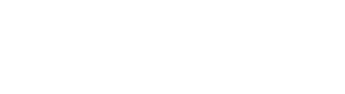 ACAE &mdash; American Culture & Art Exchange Association